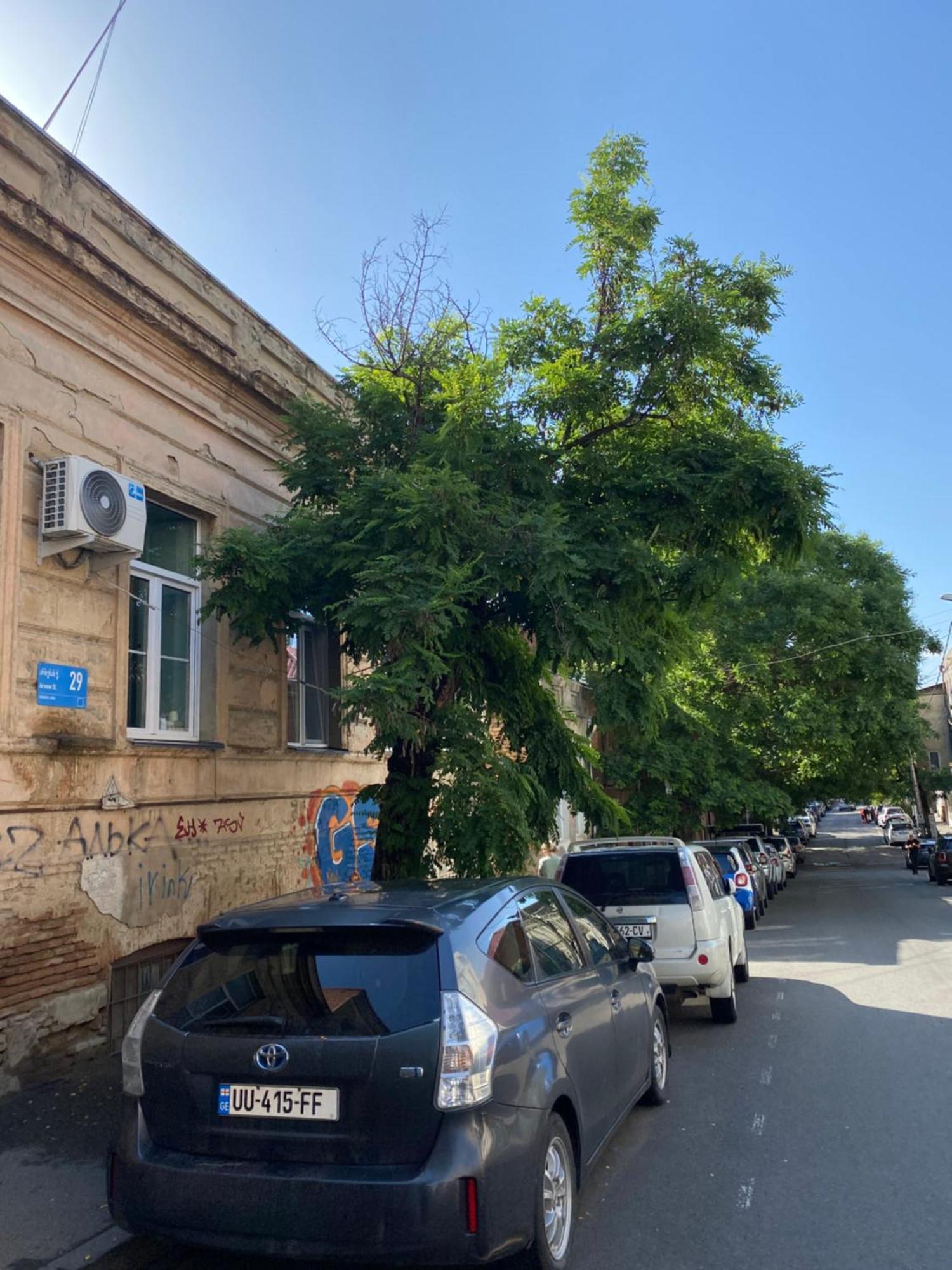 Old Tbilisi City Center, Two - Room Apartment Eksteriør billede